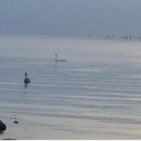 Blaues Haus Neu Reddevitz * Lancken-Granitz