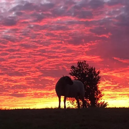 Blaues Haus Neu Reddevitz Дом отдыха *